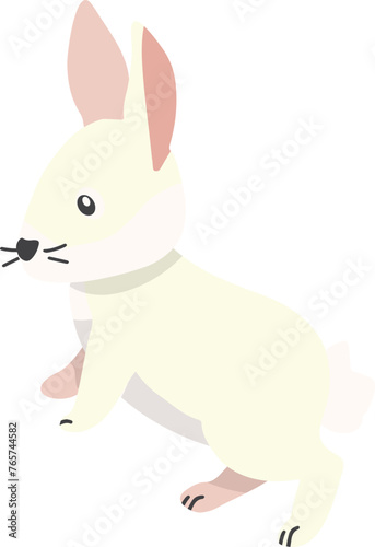 Cute rabbits  wild animals and pets  Easter