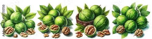 Green walnuts.