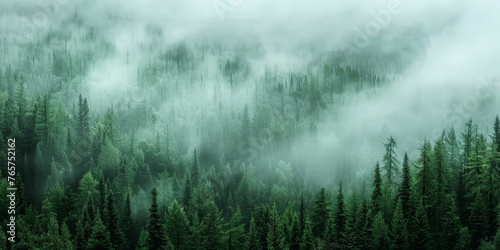 misty forest with fog in the mountains, Misty landscape with fir forest in hipster vintage retro style. dark green Misty landscape with fir forest banner
