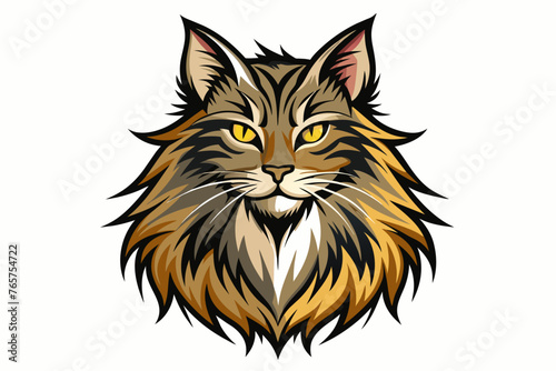 a maine coon cat is a very large breed with a beau