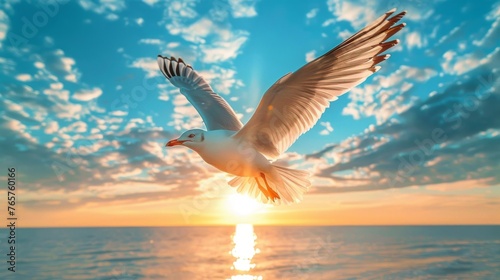 White Bird Flying Over Ocean at Sunset