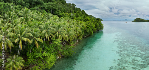 Palm trees line the edge of an island amid Raja Ampat's tropical seascape. This part of Indonesia is known as the heart of the Coral Triangle due to the extraordinary marine biodiversity found there.
