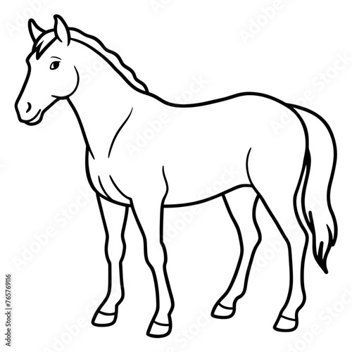 Illustration of a horse  isolated on a transparent background. Coloring page for kids. © Tatiana