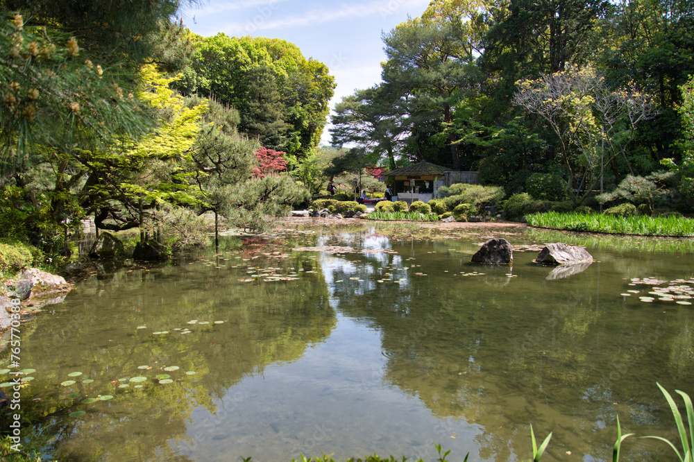 The Japanese garden and the pond. Kyoto Japan
The Japanese garden and the pond. Kyoto Japan