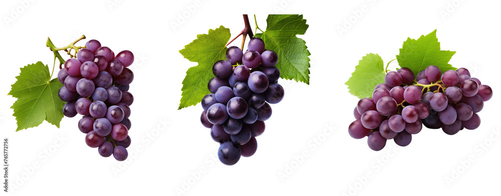 Set of grapes purple and leaves ivy transparent background. Set of grapes purple and leaves ivy transparent background.