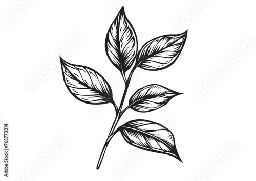 Tea leaves, hand drawn style © Ilya