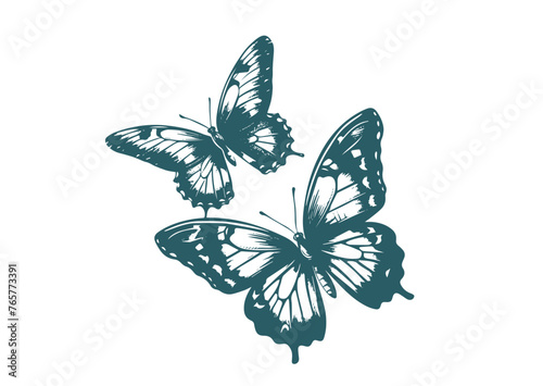 Butterfly, hand drawn style