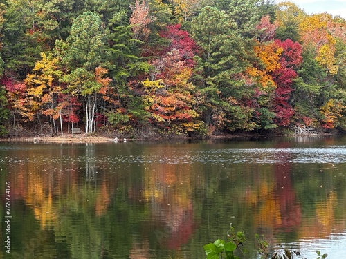 Fall Foliage by a pond, reflection of fall colors