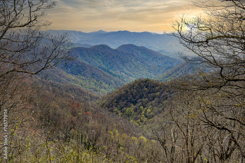 An overlook of the Great Smoky Mountains during early spring, before many of the trees have leafed out. The mountains are beginning to green as the landscape transitions from winter to spring.