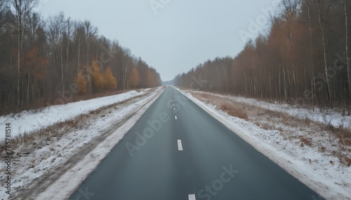 sphalt road in snowy forest