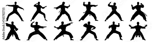 Fighter karate kung fu silhouette set vector design big pack of illustration and icon