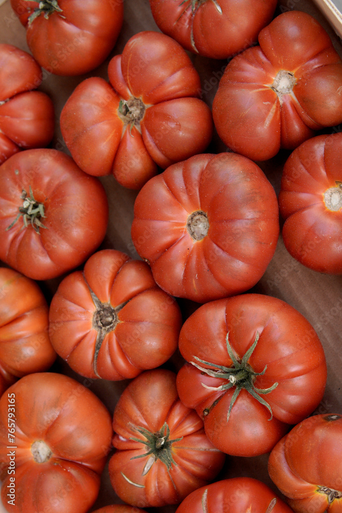 red tomatoes on a branch red tomatoes on a branch