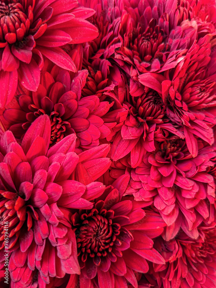 Bunch of red flowers close up background