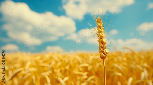 Golden wheat field. Background with copy space. Golden grain  close up  landscape concept. Generated by artificial intelligence.