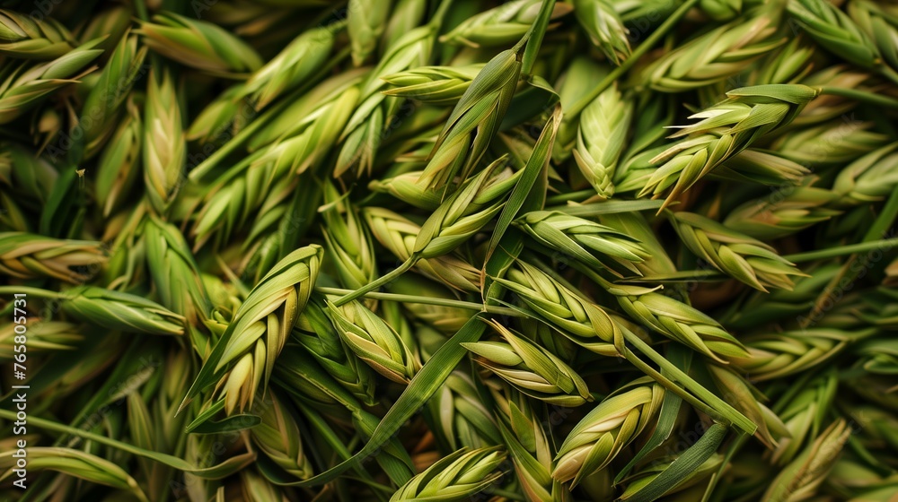 Obraz premium A pile of highland barley seedlings. Generated by artificial intelligence.
