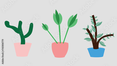 Vector background with three plants. Three different houseplants in a pot.  Flower pot, house plant, home decoration.