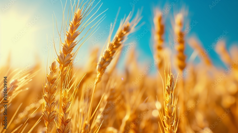 Golden wheat field. Background with copy space. Golden grain, close up, landscape concept. Generated by artificial intelligence.