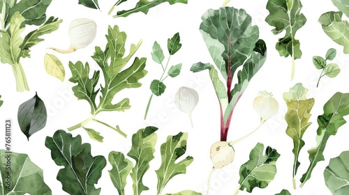 Delicately rendered watercolor turnips, collard greens, and endive, on white