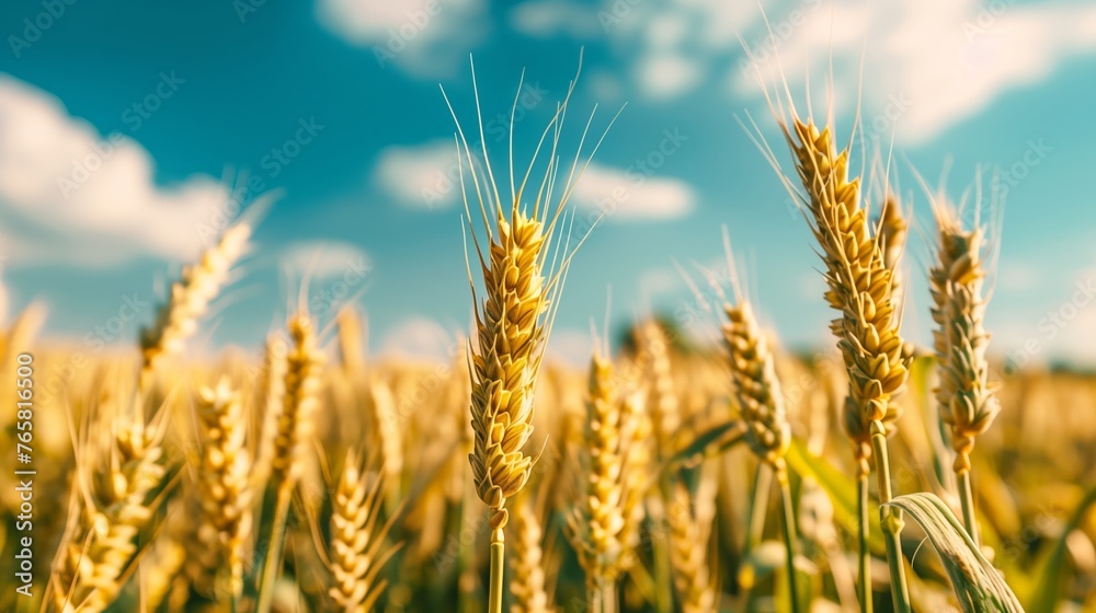 Close-up of green and plump wheat ears. The distant view with an endless wheat field. Generated by artificial intelligence. Close-up of green and plump wheat ears. The distant view with an endless wheat field. Generated by artificial intelligence.