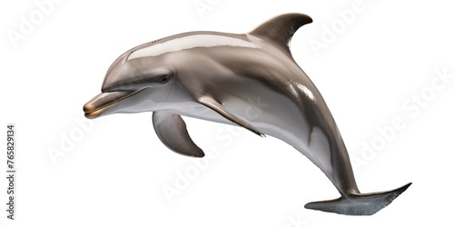 a dolphin jumping out of water on a transparent background.