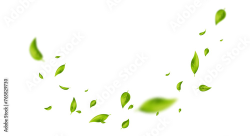 Green flying leaves on white banner. Wave foliage ornament. Vegan, eco, organic design element. Leaf falling. Cosmetic pattern border. Fresh tea background. Beauty product. Vector illustration