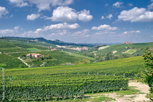 Vineyard Landscape close to Asti in Piedmont,Italy