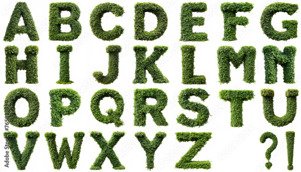 alphabet. lush ivy creeper curls in form of letters isolated on a white background alphabet. lush ivy creeper curls in form of letters isolated on a white background