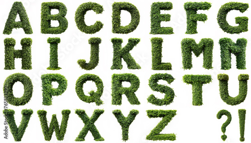 alphabet. lush ivy creeper curls in form of letters isolated on a white background