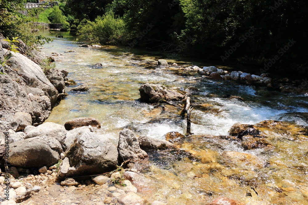 rapids on the the Sava river near Lake Bohinj, Slovenia rapids on the the Sava river near Lake Bohinj, Slovenia