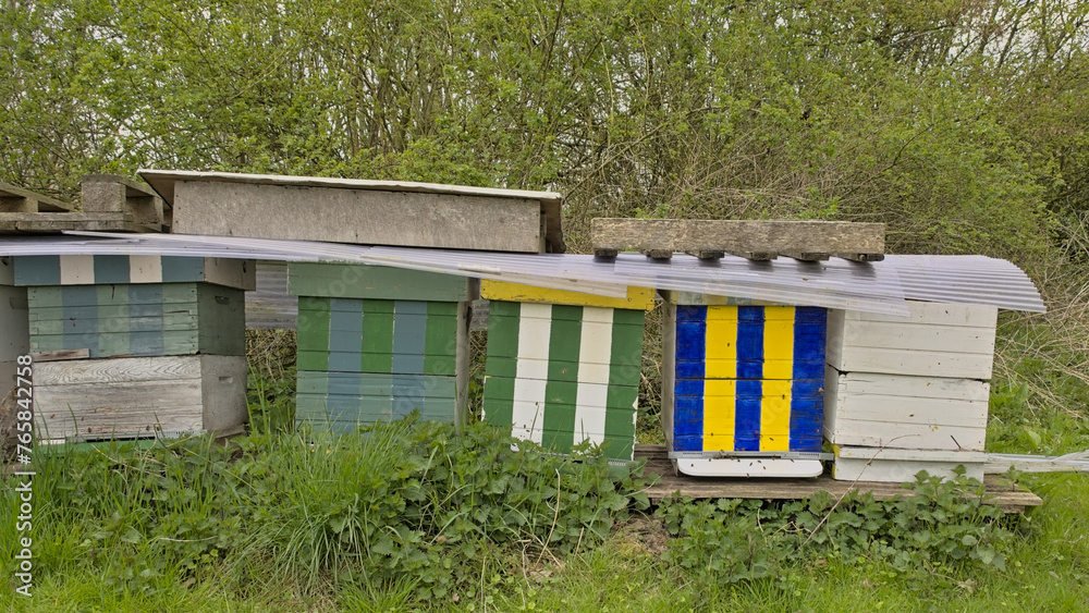 Wooden beehives in Gentbrugse meersen nature reserve, Ghent, Flanders, Belgium Wooden beehives in Gentbrugse meersen nature reserve, Ghent, Flanders, Belgium