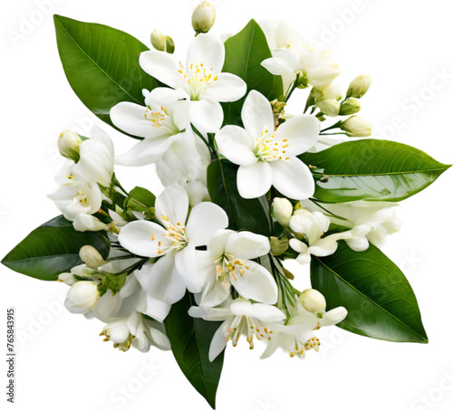 Jasmine white roses bouquet of flowers beautiful decoration floral image