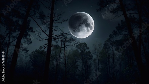 full moon over the forest