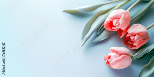 Flat lay  top view of spring flowers. Blooming pink tulips flowers on pastel background with copy space. Generative AI