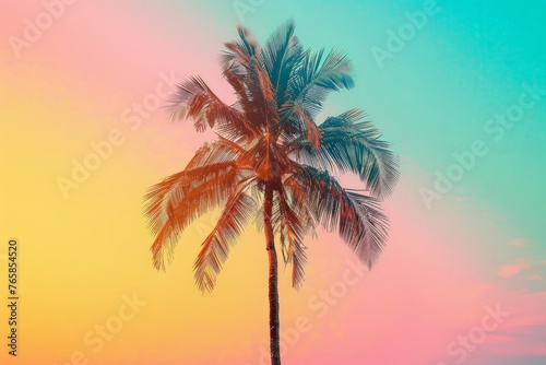 A palm tree stands out as a silhouette against a vibrant and colorful sky  creating a striking contrast between nature and the backdrop