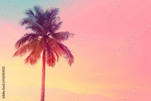 A tall palm tree stands against a backdrop of pink and blue sky © pham