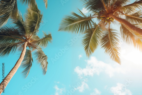 Coconut palm tree leaves and blue sky © Kokhanchikov