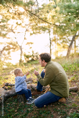 Dad and little girl sit on logs and blow on dandelions in their hands