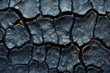 Cracked black surface texture reminiscent of charred wood or dried lava.