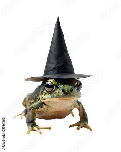 3d toad frog with witch hat for Halloween