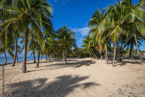 Romantic Caribbean sandy beach with palm trees, turquoise sea. Morning landscape shot at sunrise at Plage de Bois Jolan, Guadeloupe, French Antilles © Jan