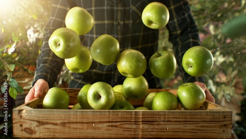 Closeup of Farmer Holding Wooden Crate with Falling Green Apples.