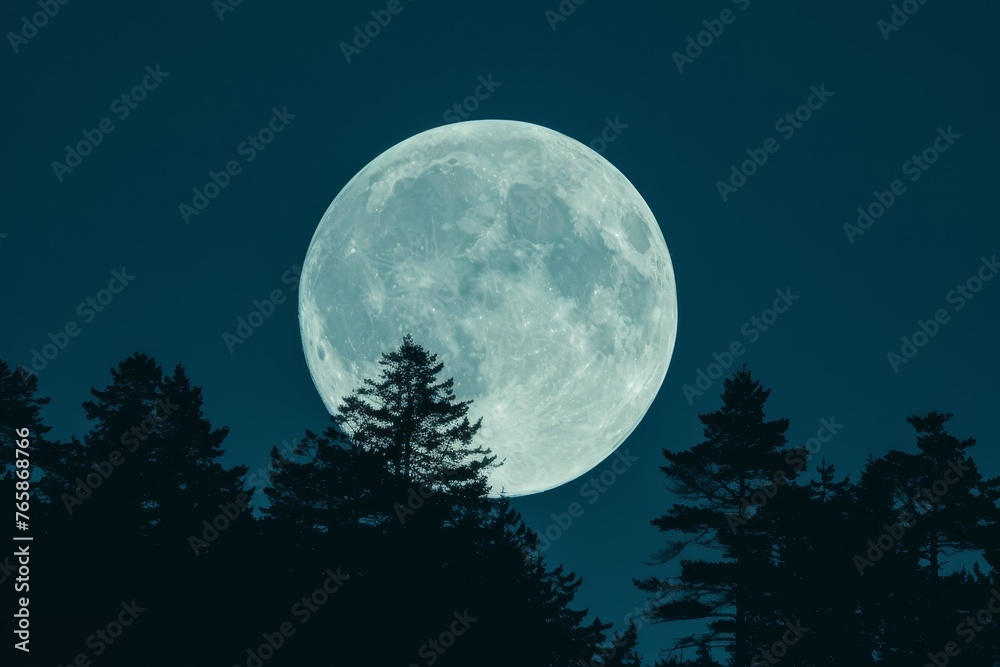 Serene Full Moon in Clear Night Sky Over Quiet Garden, Capturing the Mystical Beauty of the Night.