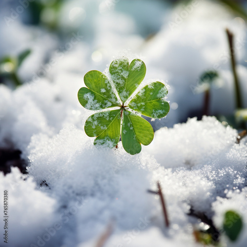 lucky clover in snow, christmas new year сreated with Generative Ai