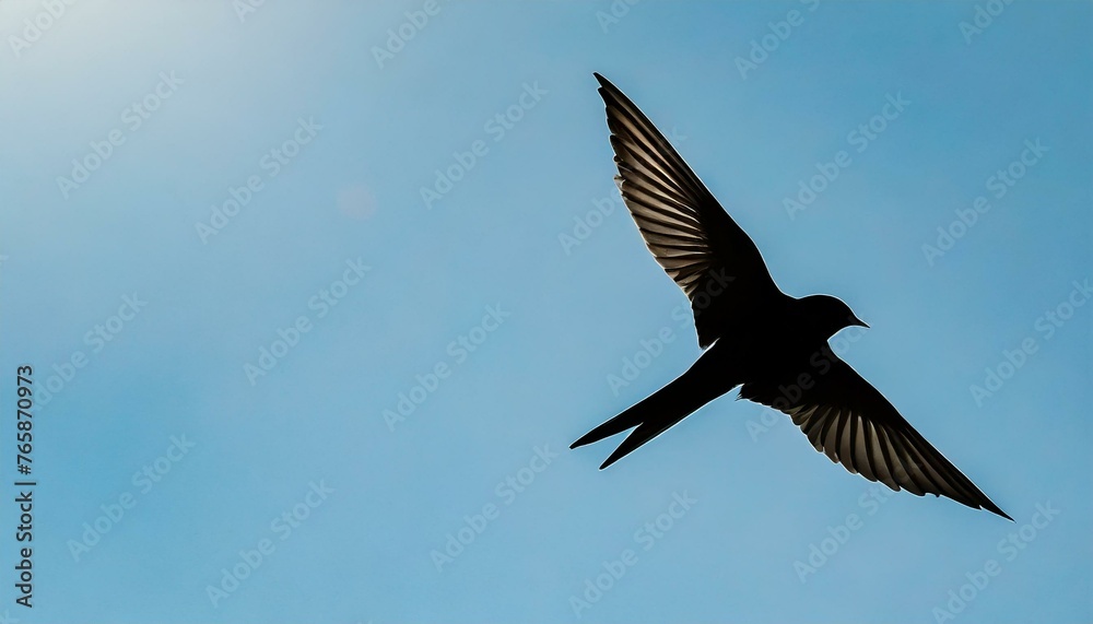 Obraz premium bird in flight