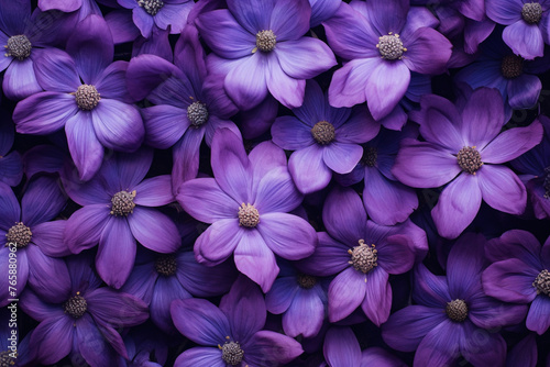 purple flowers  top view  background   reated with Generative Ai