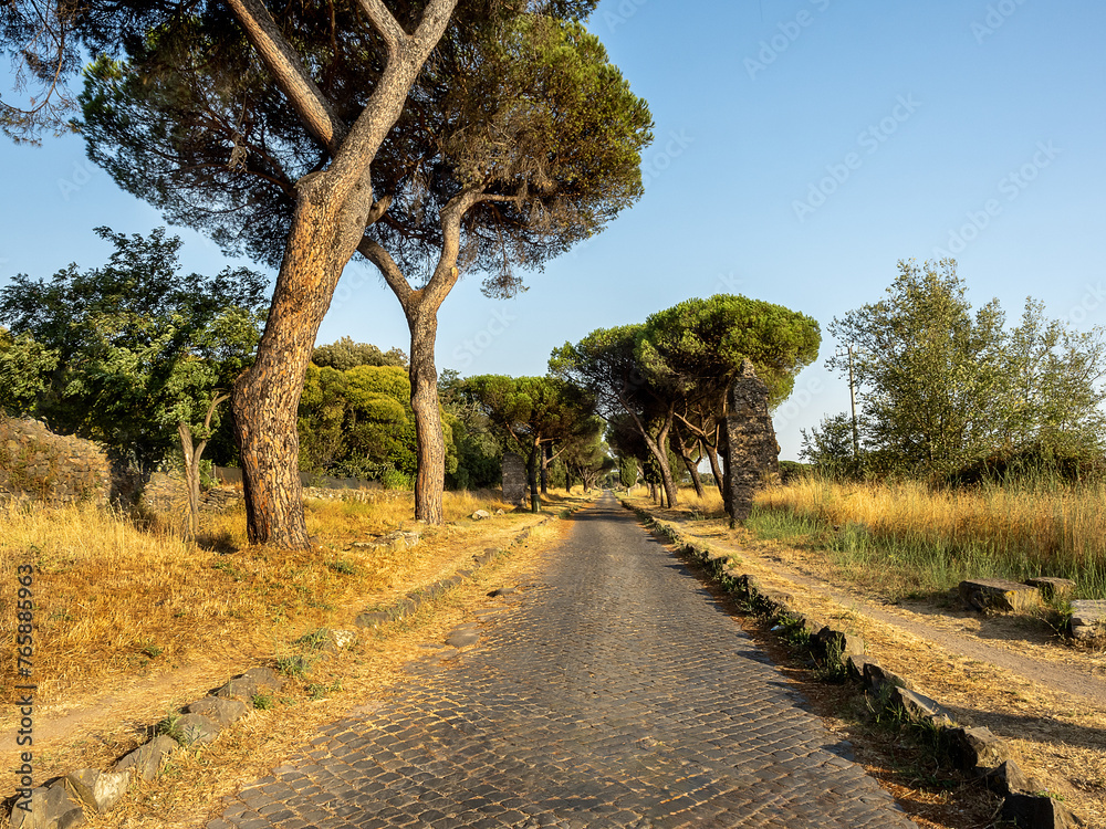 The ancient Roman road known as the Via Appia Antica illuminated by the warm lights of sunset through the pine trees.