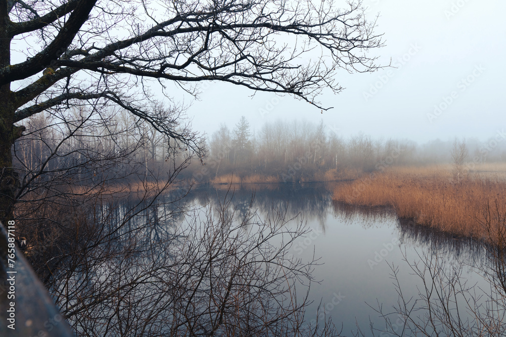 A lake surrounded by tall grass and trees under a cloudy sky. A lake surrounded by tall grass and trees under a cloudy sky.