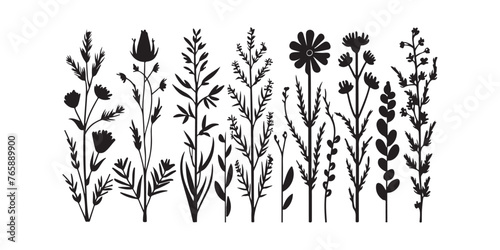 Wild meadow herbs flowering flowers Vector Silhouettes Collections Vector Art Illustration