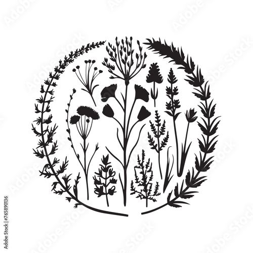 Wild meadow herbs flowering flowers Vector Silhouettes Collections Vector Art Illustration