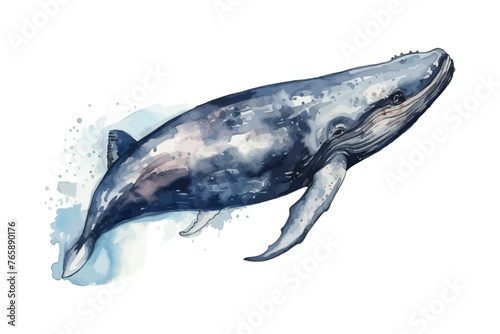 Watercolor blue whale illustration. Ocean animal.